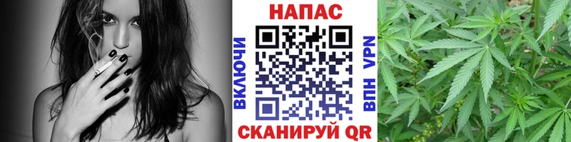 Наркошоп купить ТГК  Псилоцибиновые грибы  ГАШИШ  СОЛЬ  Марихуана  Меф мяу мяу  Кокаин  Мыски