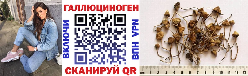 Галлюциногенные грибы Cubensis  Купить закладки  Мыски 